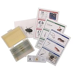 Whizkidslab prepared insect for sale  Delivered anywhere in USA 