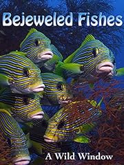 Bejeweled fishes usato  Spedito ovunque in Italia 