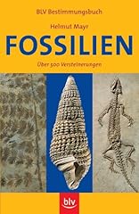 Fossilien 500 versteinerungen gebraucht kaufen  Wird an jeden Ort in Deutschland