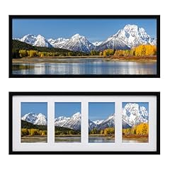 Egofine 8x20 picture for sale  Delivered anywhere in USA 