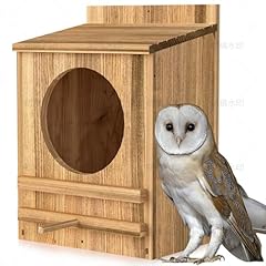 Owl house owl for sale  Delivered anywhere in USA 