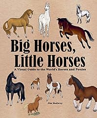 Big horses little d'occasion  Livré partout en France
