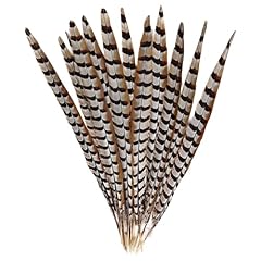 Feelfunfeather 5pcs pheasant for sale  Delivered anywhere in USA 