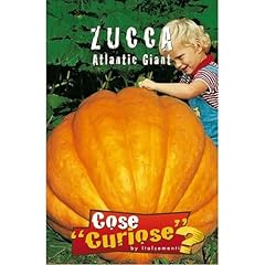 Zucca atlantic giant usato  Spedito ovunque in Italia 