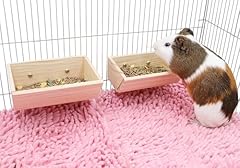Pcs guinea pig for sale  Delivered anywhere in UK