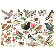 House puzzles birds for sale  Delivered anywhere in UK