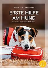 Hilfe hund leben gebraucht kaufen  Wird an jeden Ort in Deutschland