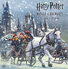 Harry potter. natale usato  Spedito ovunque in Italia 