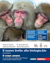 Nuovo invito alla usato  Spedito ovunque in Italia 