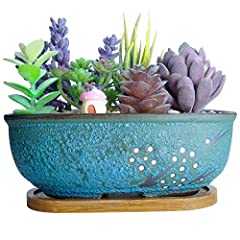 Artketty ceramic succulent for sale  Delivered anywhere in UK