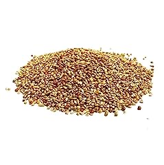 1kg quail seed for sale  Delivered anywhere in UK