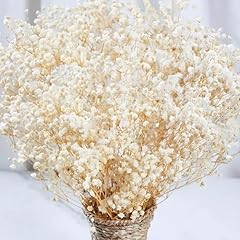 2000 dried babys for sale  Delivered anywhere in USA 