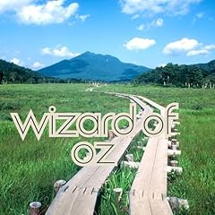 Wizard gebraucht kaufen  Wird an jeden Ort in Deutschland