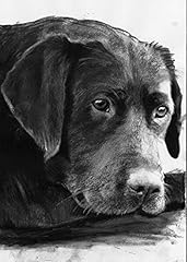 Black lab charcoal for sale  Delivered anywhere in UK