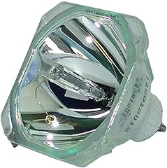 2400 xl2400 lampada usato  Spedito ovunque in Italia 
