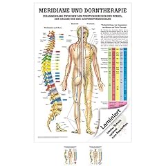 Rüdiger meridiane dorn gebraucht kaufen  Wird an jeden Ort in Deutschland