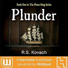 Plunder usato  Spedito ovunque in Italia 