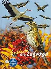 Entdecke zugvögel großem gebraucht kaufen  Wird an jeden Ort in Deutschland