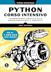 Python. corso intensivo. usato  Spedito ovunque in Italia 