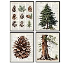Kdhty vintage pine for sale  Delivered anywhere in USA 
