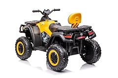 Quad raptor iii usato  Spedito ovunque in Italia 