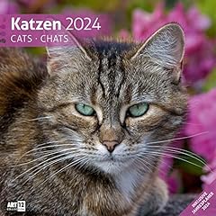 Katzen 2024 wandkalender gebraucht kaufen  Wird an jeden Ort in Deutschland