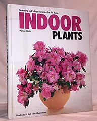 Indoor plants flowering for sale  Delivered anywhere in USA 