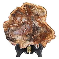 Amogeeli natural petrified for sale  Delivered anywhere in USA 