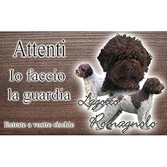 Attenti cane lagotto usato  Spedito ovunque in Italia 