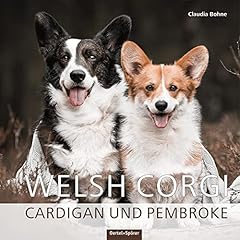welsh corgi d'occasion welsh corgi d'occasion Livré partout en France