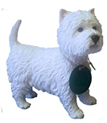 West highland terrier for sale  Delivered anywhere in Ireland