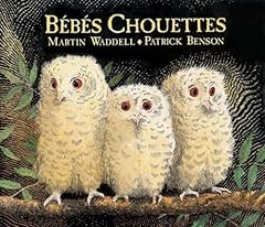Bébés chouettes d'occasion  Livré partout en France