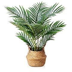 Lomanto fake majesty for sale  Delivered anywhere in USA 