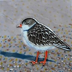 Plover hand painted for sale  Delivered anywhere in USA 