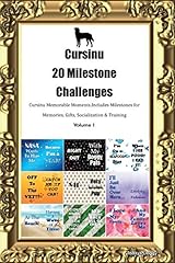 Cursinu milestone challenges d'occasion  Livré partout en France