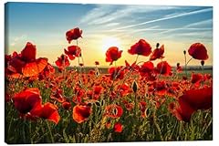 Posterlounge mohn abend gebraucht kaufen  Wird an jeden Ort in Deutschland