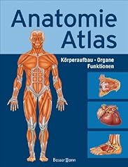 Anatomie atlas körperbau gebraucht kaufen  Wird an jeden Ort in Deutschland