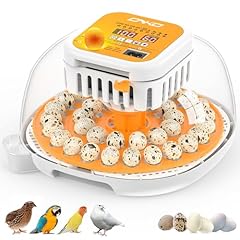 Quail incubators hatching for sale  Delivered anywhere in USA 