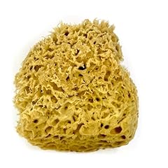 Medium sea sponge for sale  Delivered anywhere in UK