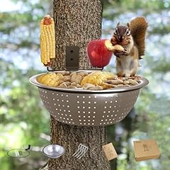 Ofasixx squirrel feeder for sale  Delivered anywhere in USA 