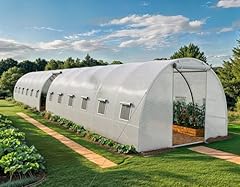 Yitahome 44x10x7ft greenhouse for sale  Delivered anywhere in USA 