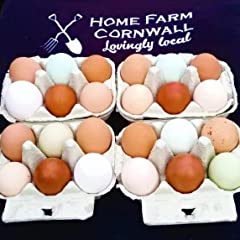 Fertile chicken hatching for sale  Delivered anywhere in UK