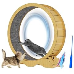 Cat exercise wheel for sale  Delivered anywhere in USA 