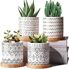 Jofamy succulent pots for sale  Delivered anywhere in USA 