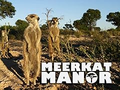 Meerkat manor for sale  Delivered anywhere in UK