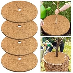 Legigo 4pcs coconut for sale  Delivered anywhere in USA 