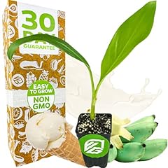Ice cream banana for sale  Delivered anywhere in USA 