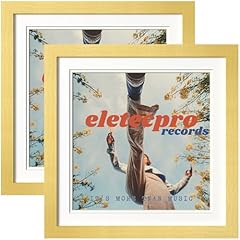 Eletecpro 15x15 album for sale  Delivered anywhere in USA 