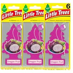 Little trees u6p for sale  Delivered anywhere in USA 