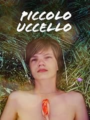 Piccolo uccello usato  Spedito ovunque in Italia 